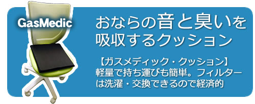 ガスメディッククッション