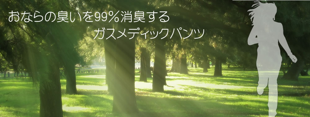 おなら専用活性炭消臭フィルター搭載のおなら消臭パンツはシュレディーズ