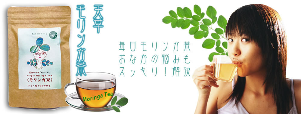 国産無農薬モリンガ茶
