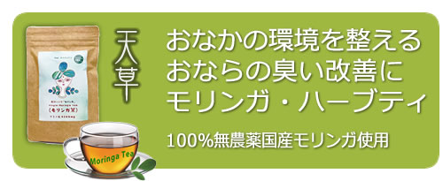 国産無農薬モリンガ茶